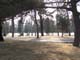FloCam - 0284 - 07.03.2006 15-46-42